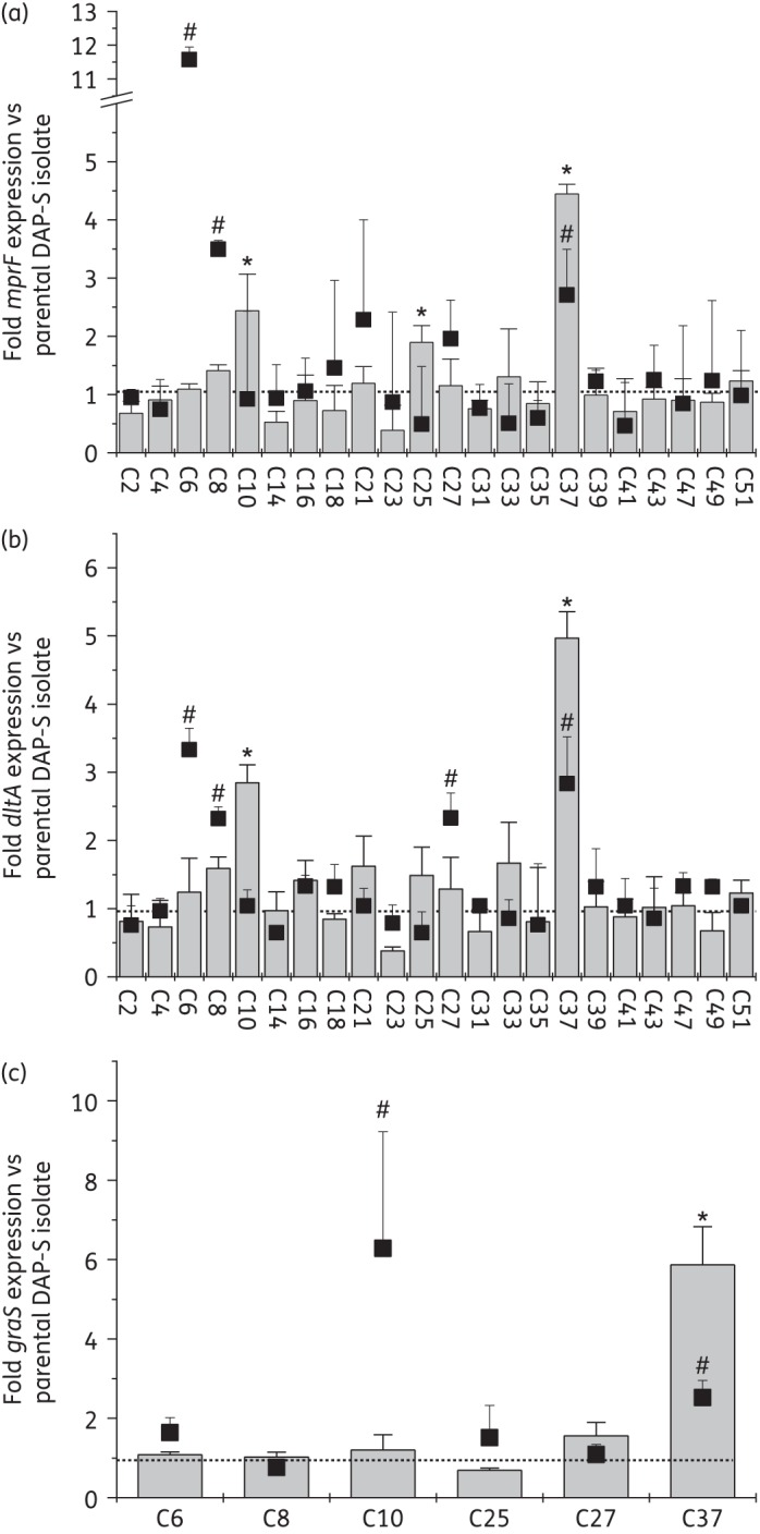 Figure 1.