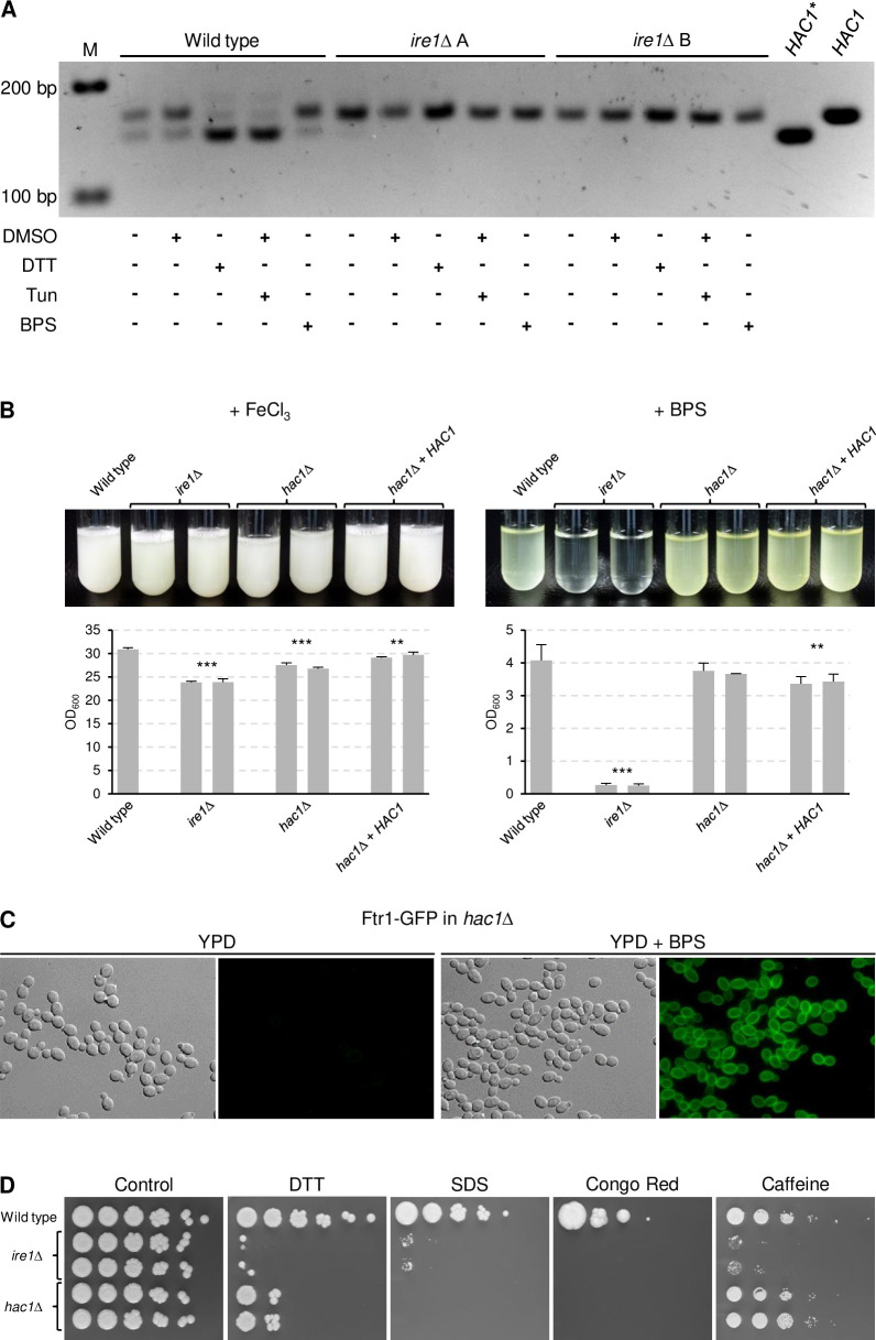 Fig 10