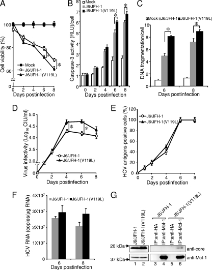 FIG. 9.