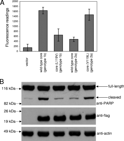 FIG. 8.