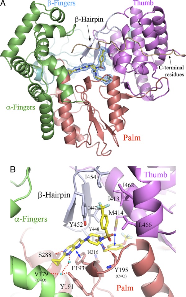 Fig 2