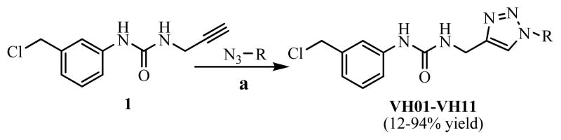 Scheme 1