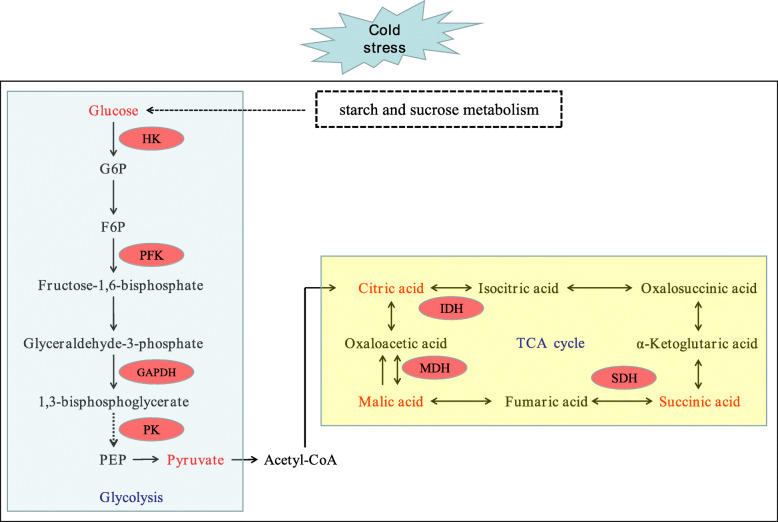 Fig. 10