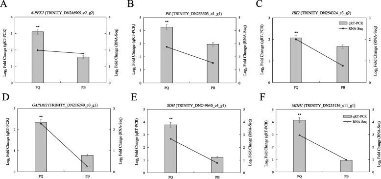 Fig. 9