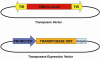 Fig. (6)