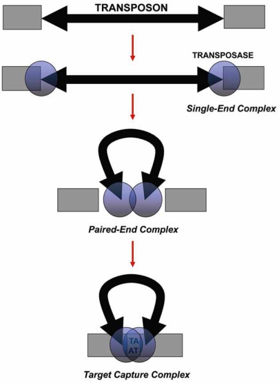 Fig. (3)