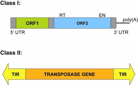 Fig. (1)