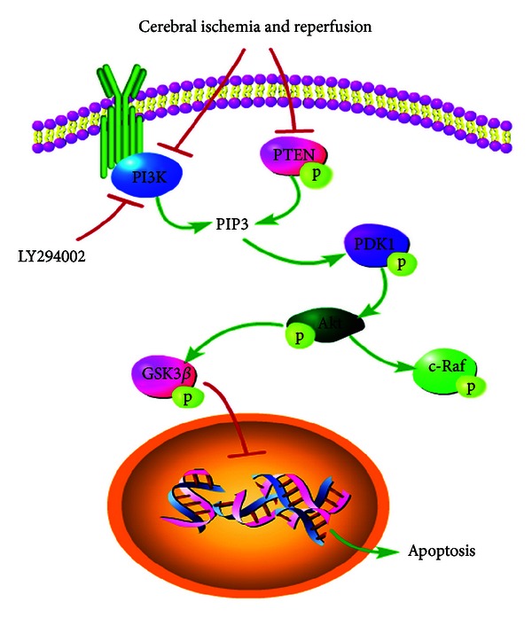 Figure 9