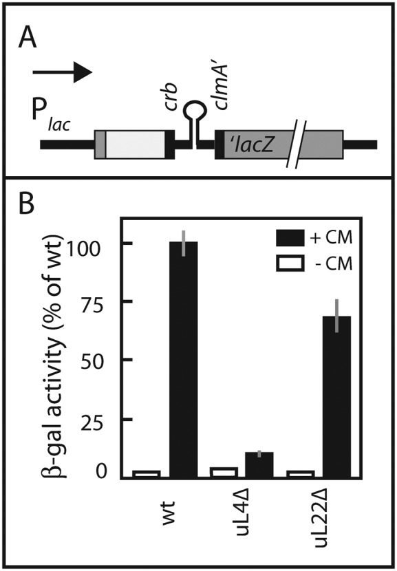 Figure 9.