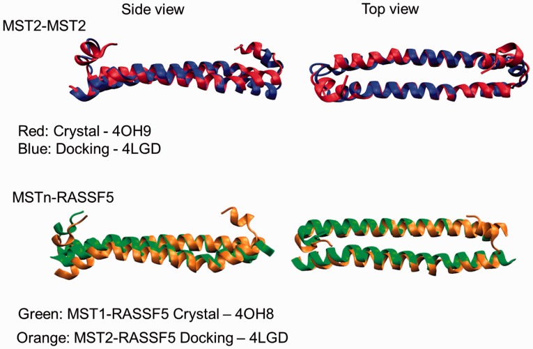 Figure 5.