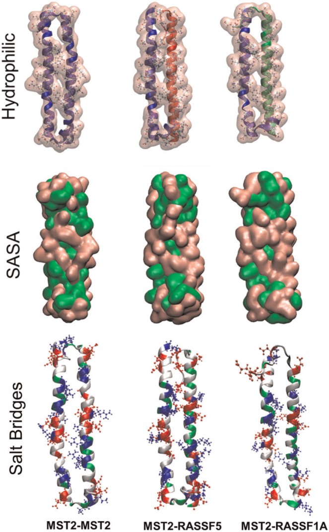 Figure 7.