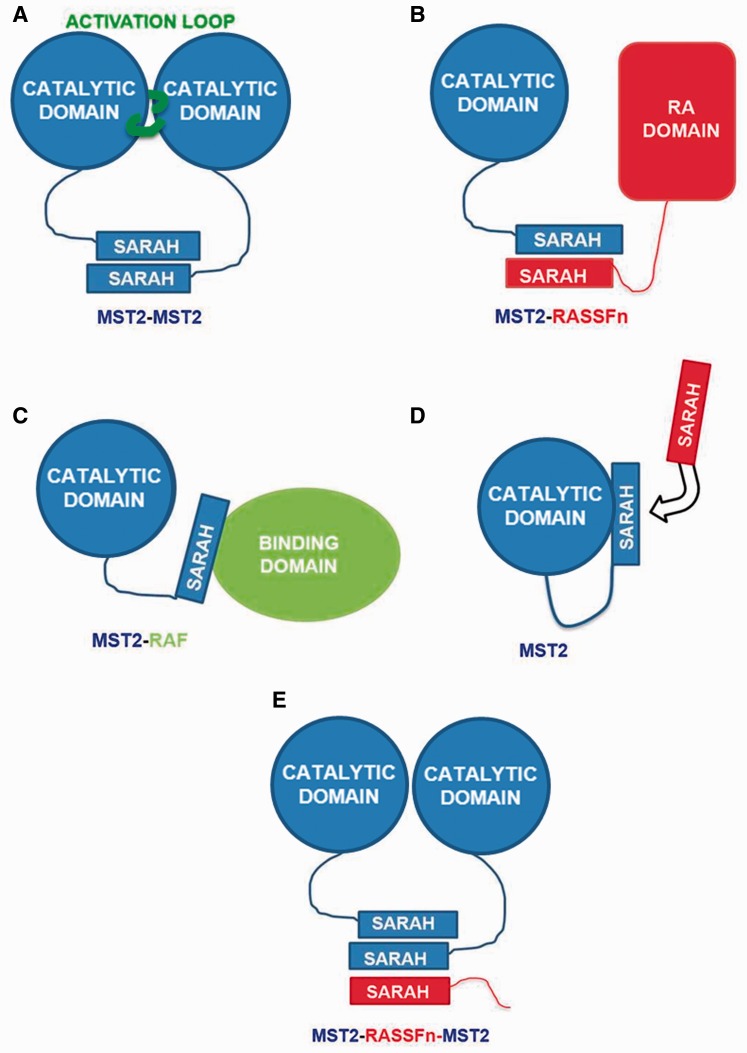 Figure 3.