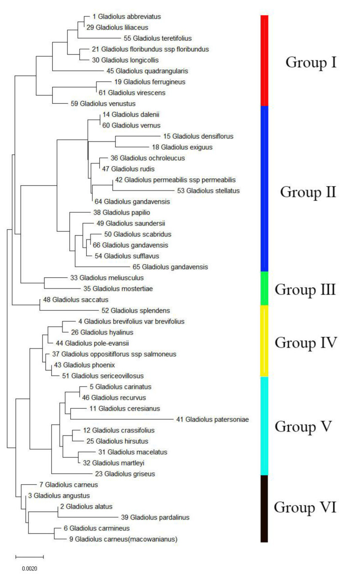 Figure 7