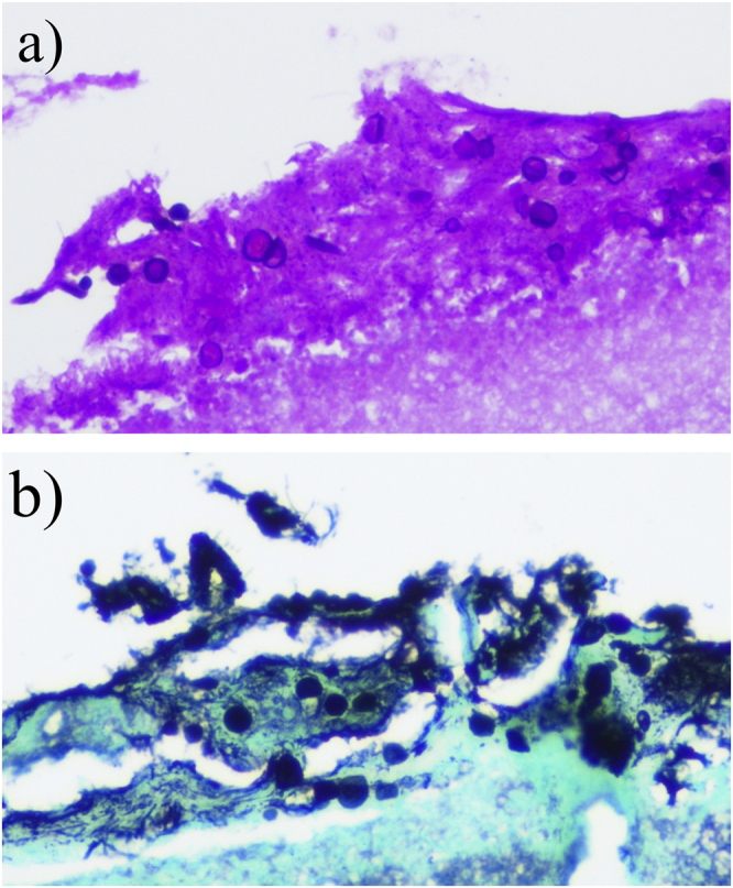 Fig. 3.