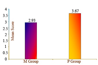Graph 5:Mean Apical Debris Score among the Study Group
