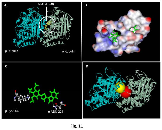 Figure 11