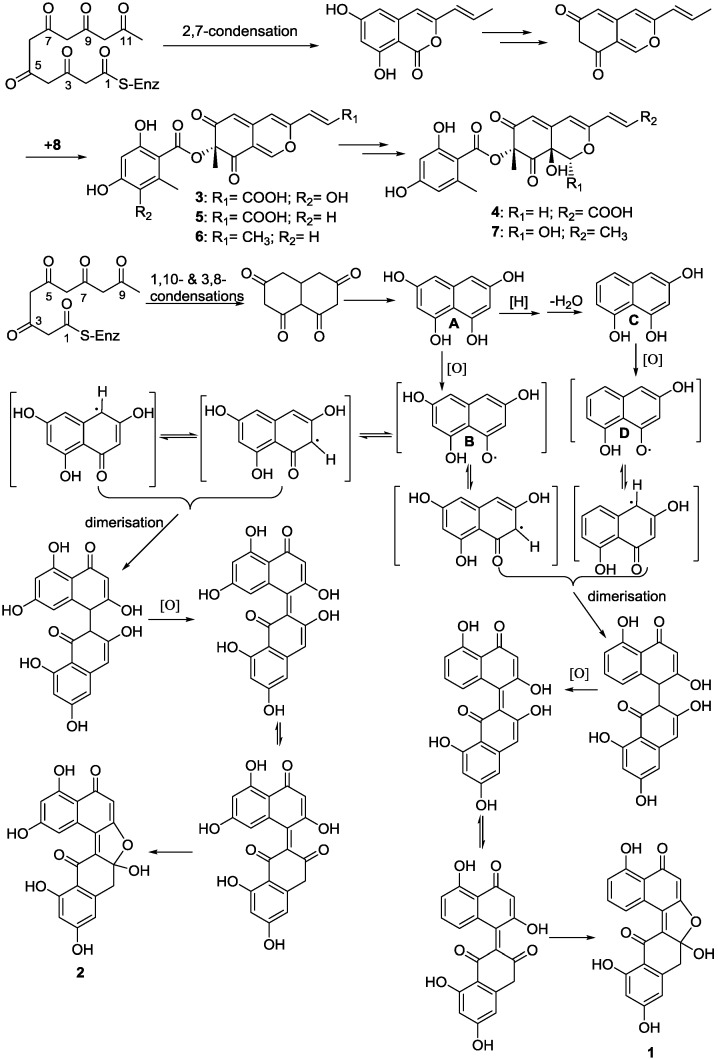 Scheme 2