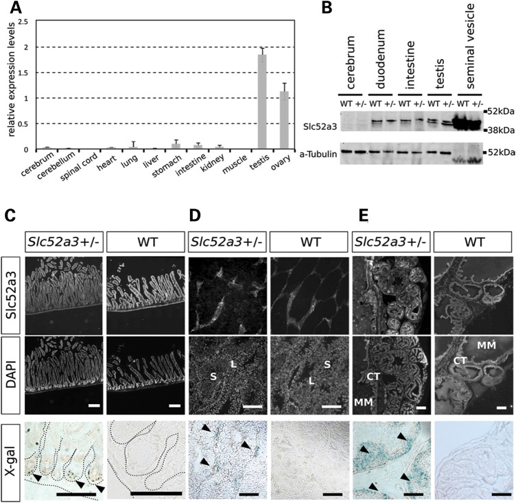 Figure 6.