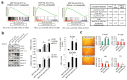 Extended Data Figure 4