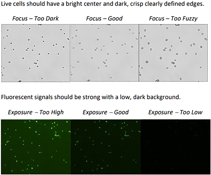 Figure 16