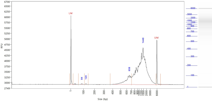 Figure 11