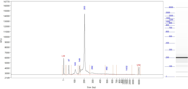 Figure 13