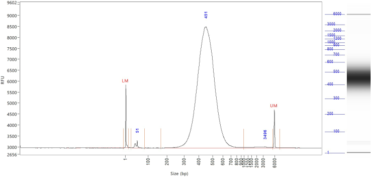 Figure 12