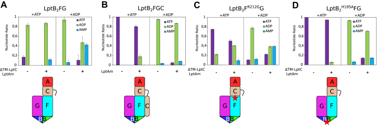 Figure 2