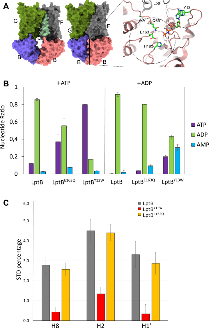 Figure 3