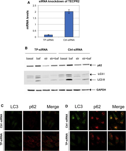 Figure 5