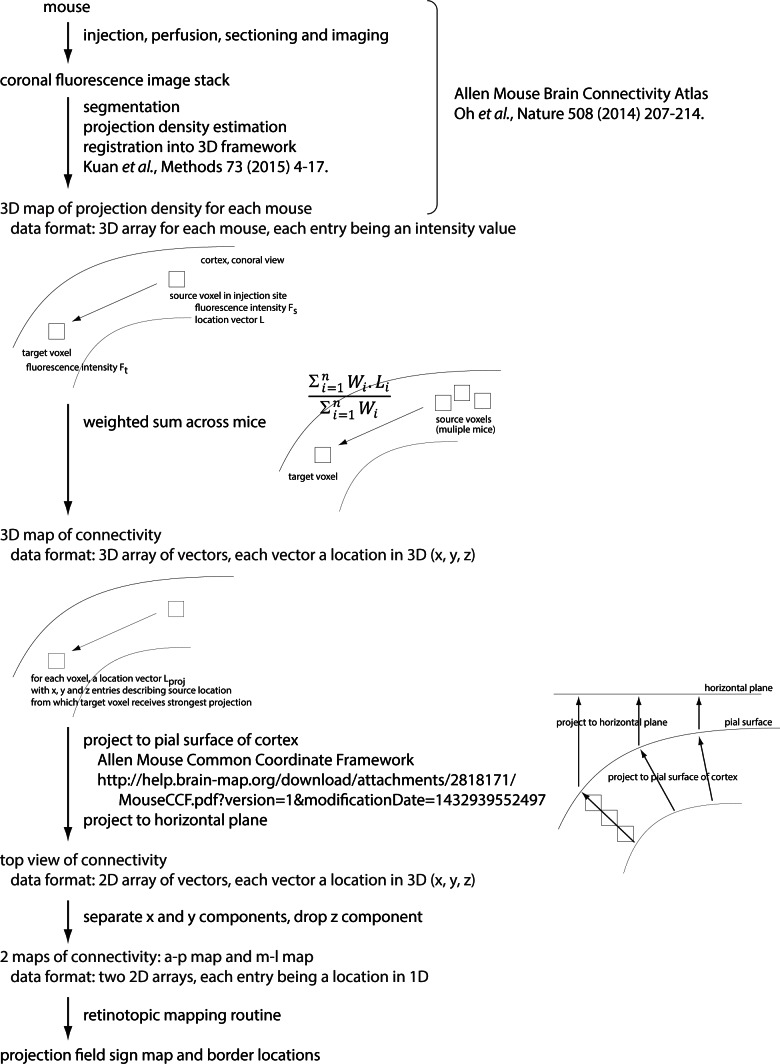 Figure 6—figure supplement 1.