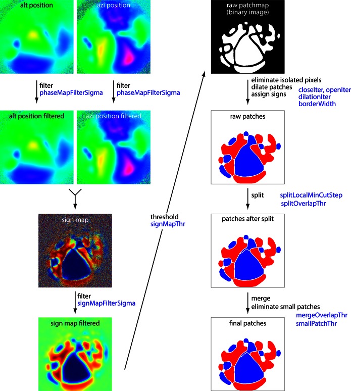 Figure 2—figure supplement 1.