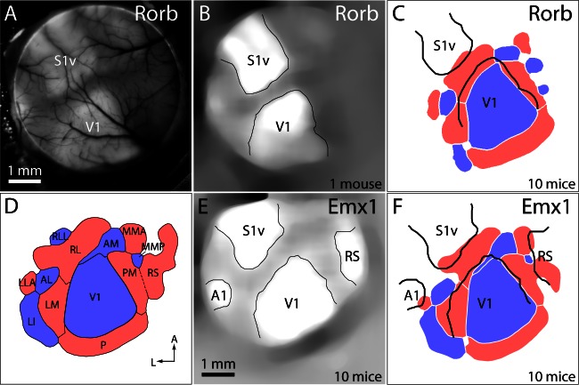 Figure 5.