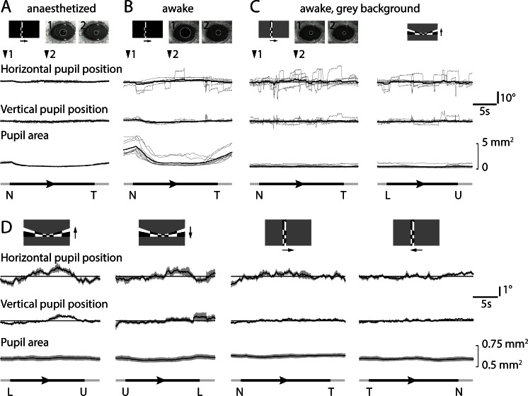 Figure 2—figure supplement 3.