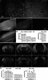 Figure 1—figure supplement 1.