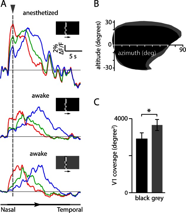 Figure 2—figure supplement 5.