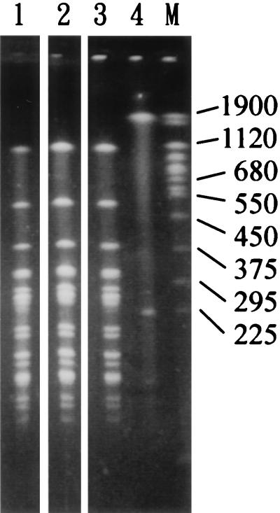 FIG. 5