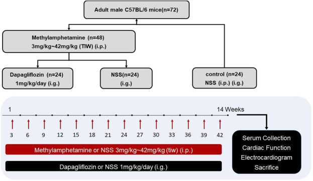 FIGURE 1