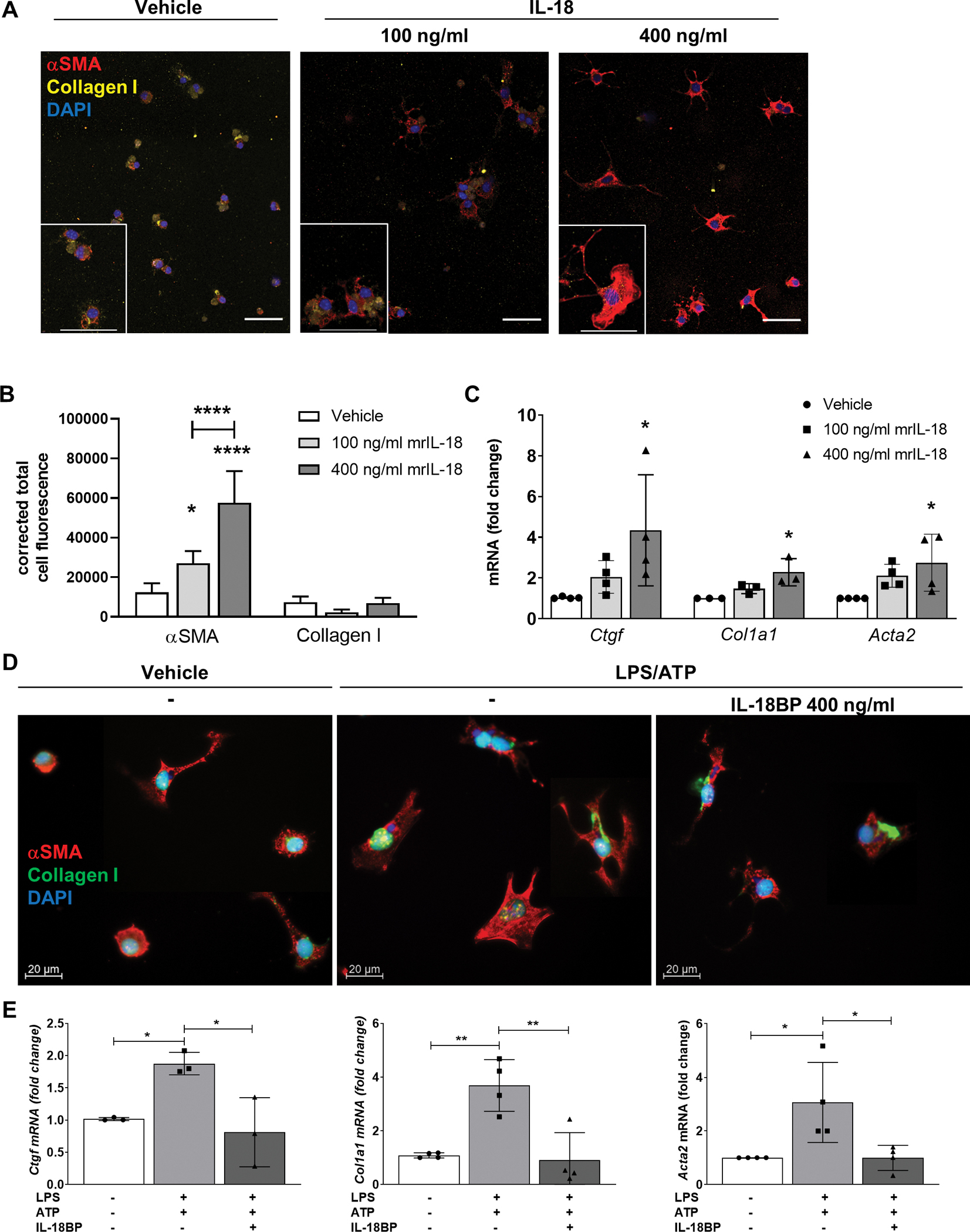 Fig. 2: