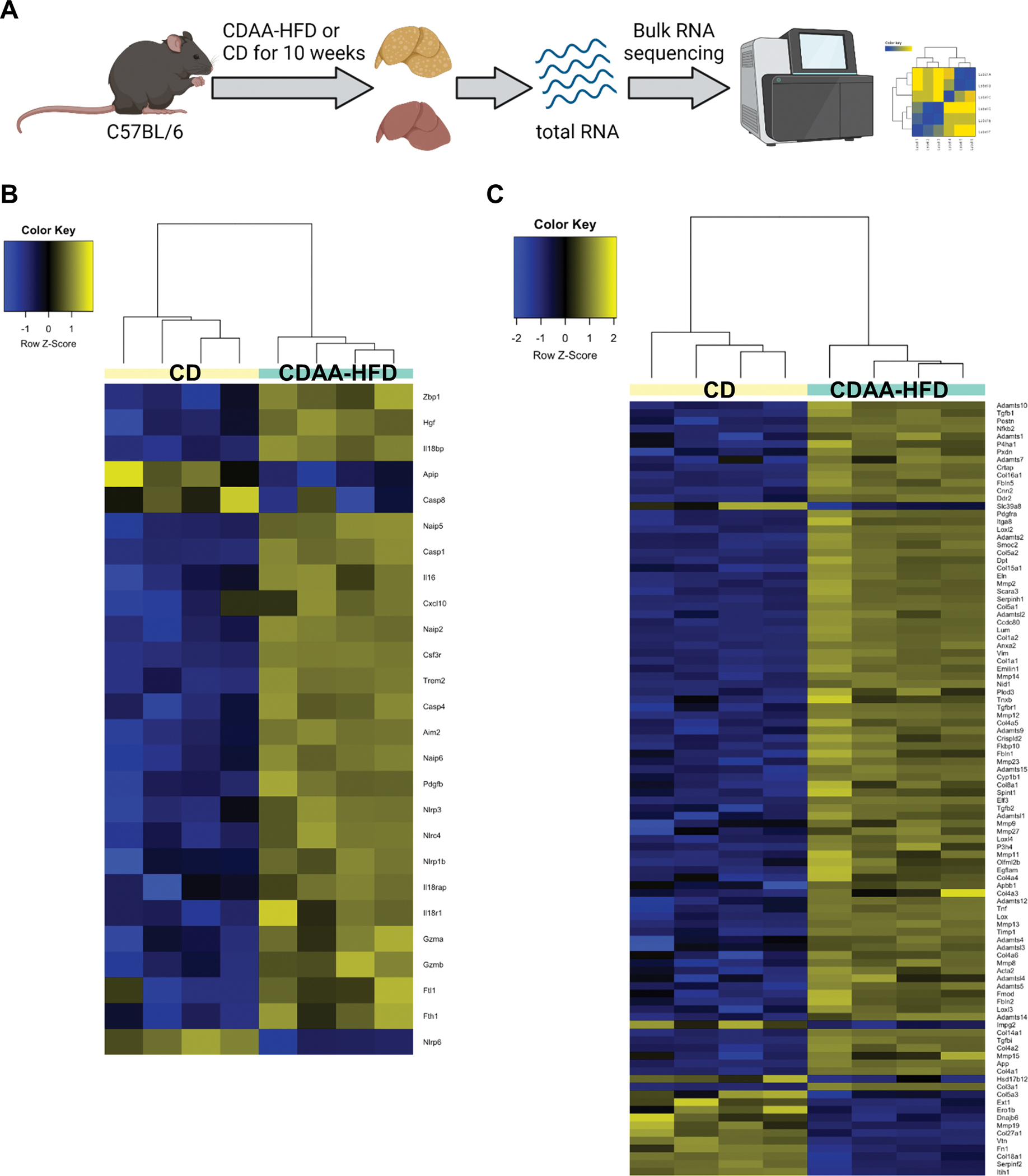 Fig. 4: