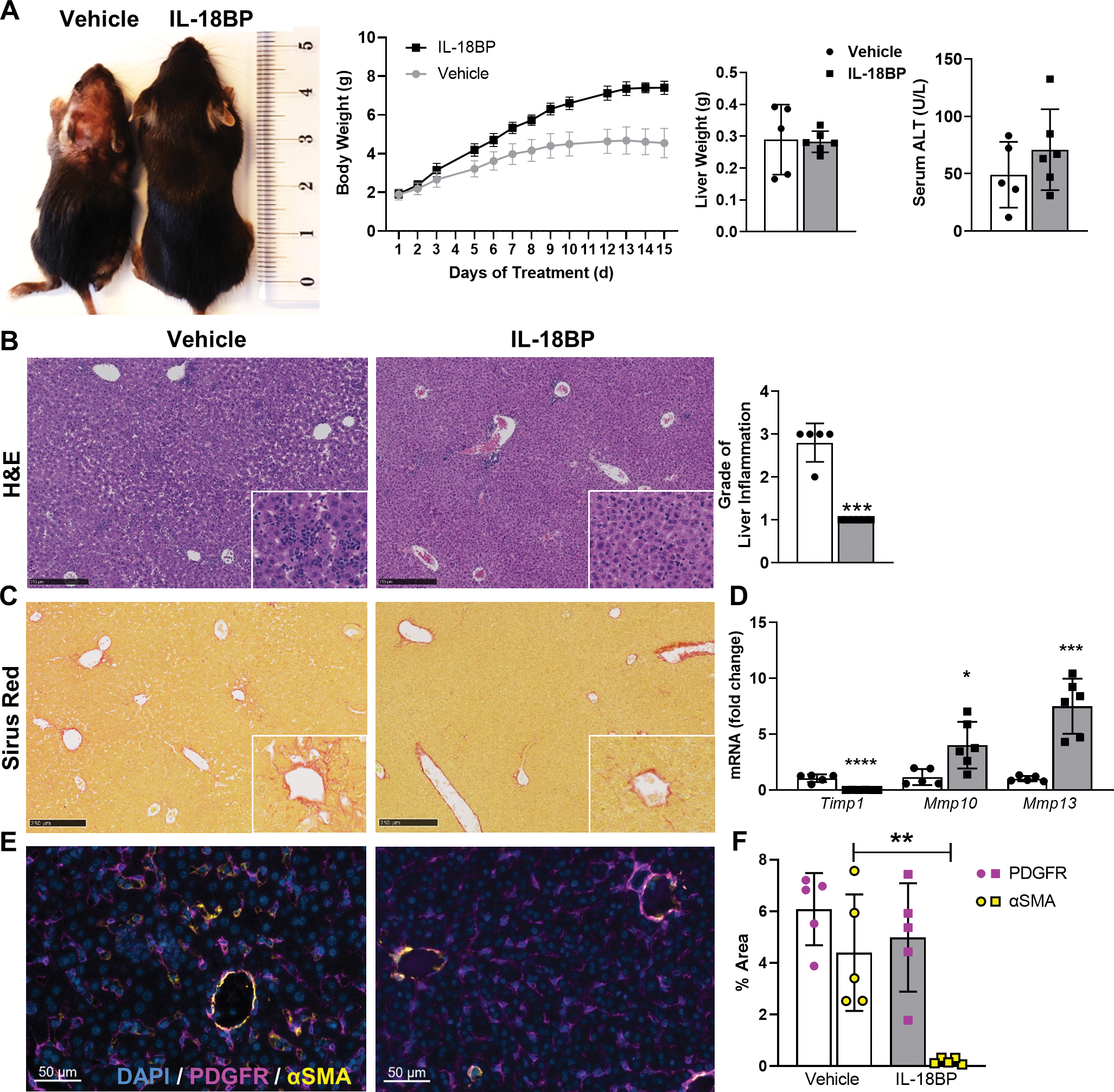 Fig. 6: