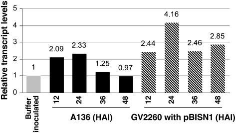 Figure 4.