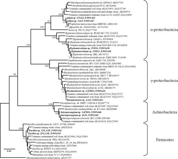 FIG. 1.