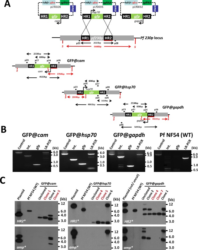 Fig 2