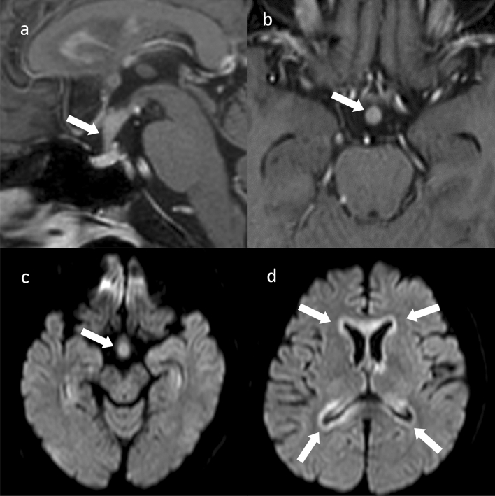 Fig. 7