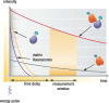 Fig. (2)