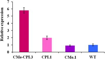 Fig. 4