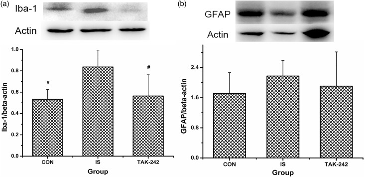 Figure 7.