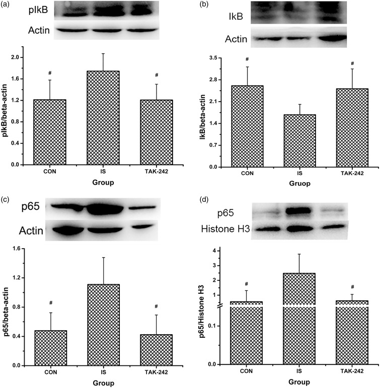 Figure 4.