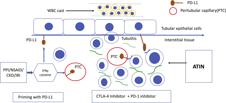 Figure 4